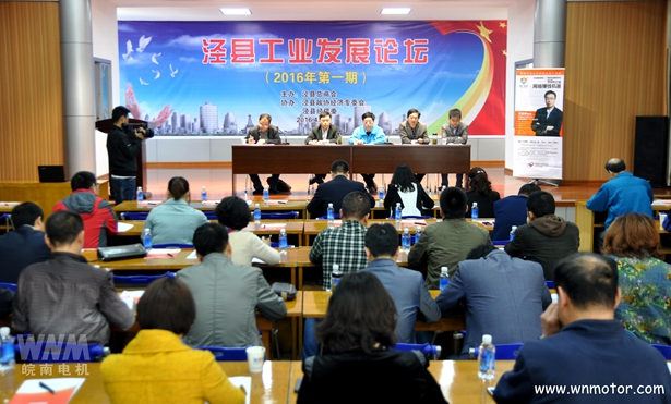 皖南电机|会议现场 皖南电机|会议现场